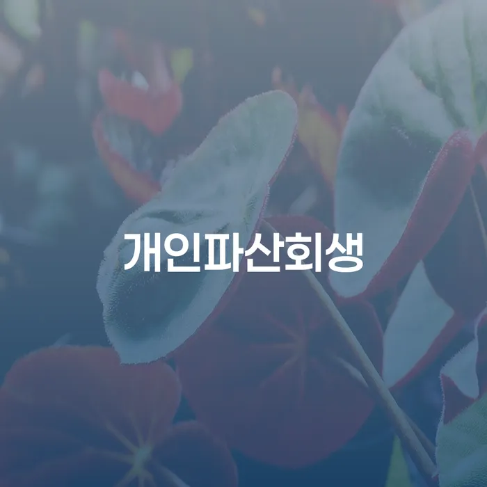 개인회생 변호사 비용 무이자 자체 분납 가능하고 빚갚는 방법 체크리스트