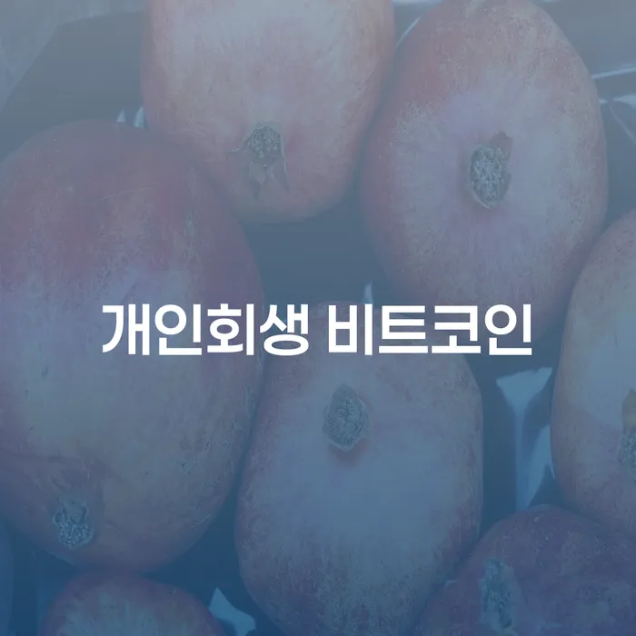파산전문변호사 개인회생으로 해결방법 잘하는 법률사무소