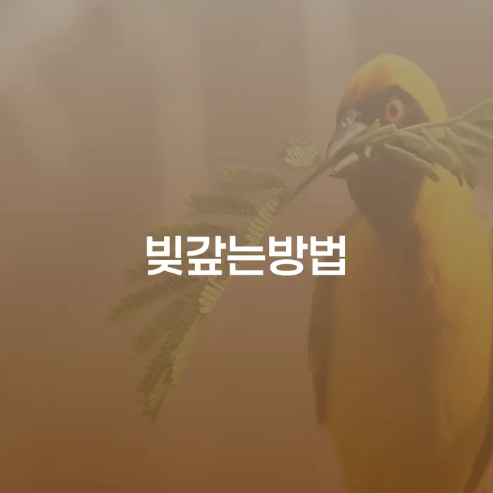 직장인채무통합 개인회생으로 해결 잘 하는 사무소
