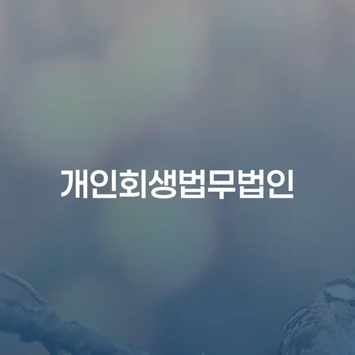 개인회생신용등급 개인회생 처리방법 신청장점