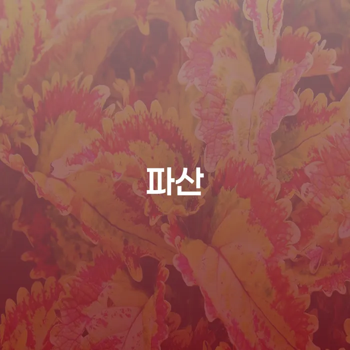광양시 무직자개인회생 채무조정제도을 이용하여 무료법률상담