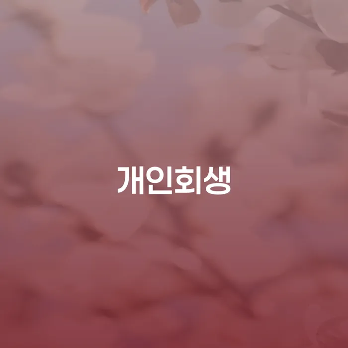 함양군 개인신용회복 개인회생 처리방법 잘신청하기