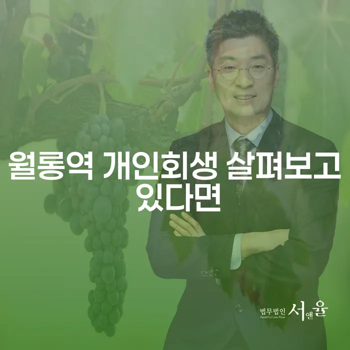 월롱역 개인회생 살펴보고 있다면