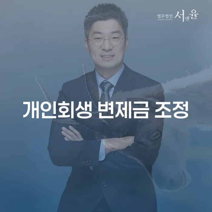 개인회생 변제금 조정, 어떻게 하는 것이 가장 효율적일까요?